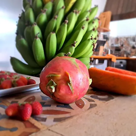 Hotell Isolina Boutique - Adults Recommended