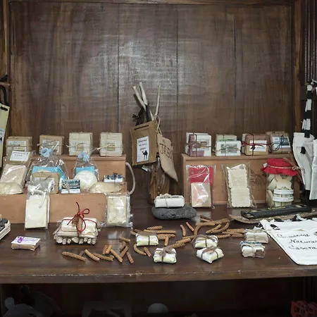 Isolina Boutique - Adults Recommended 4*